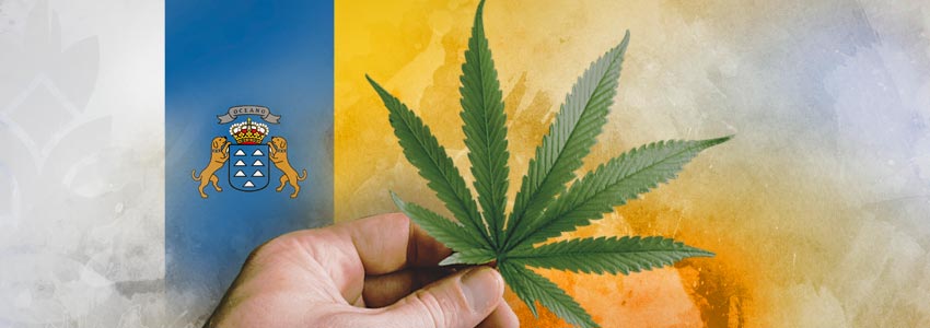 Cannabis-Vriendelijke Landen: Canarische Eilanden